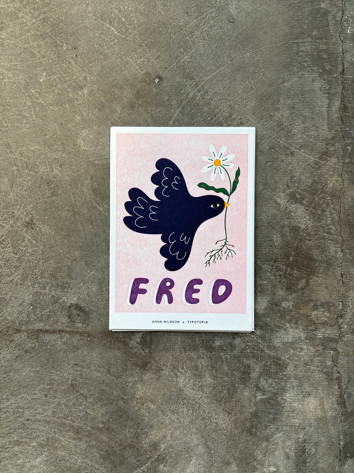 Postcard: Anna Nilsson