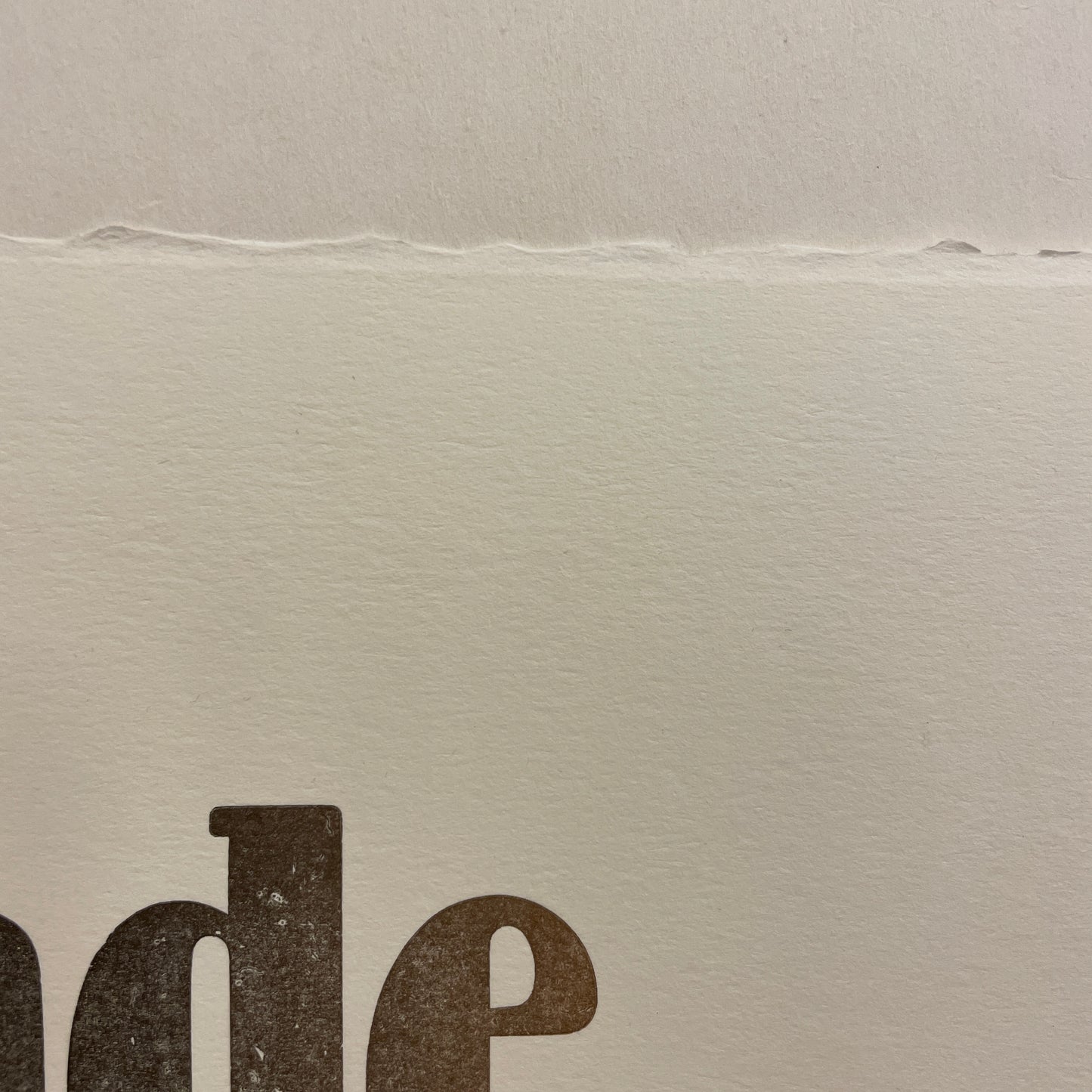 Poster: Flygande bäckasiner