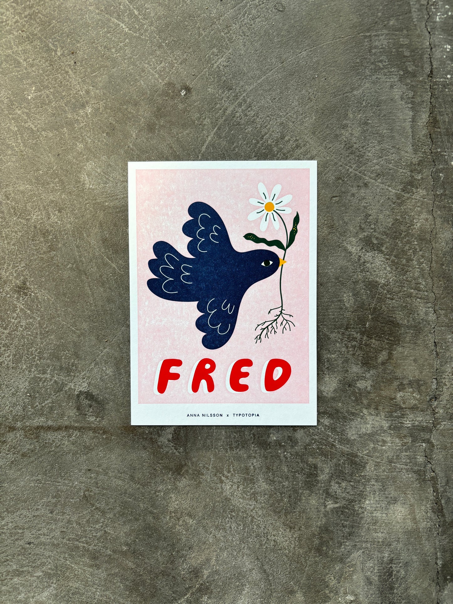 Postcard: Anna Nilsson