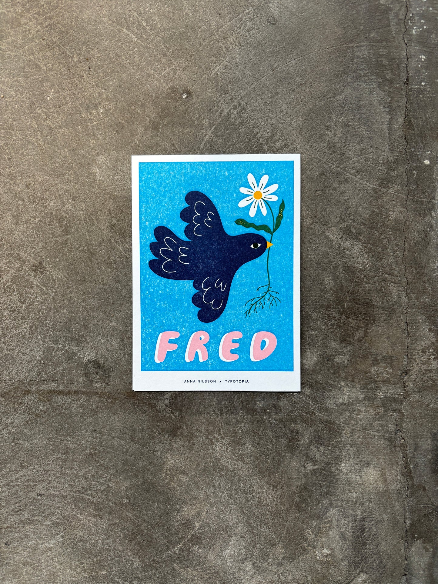 Postcard: Anna Nilsson