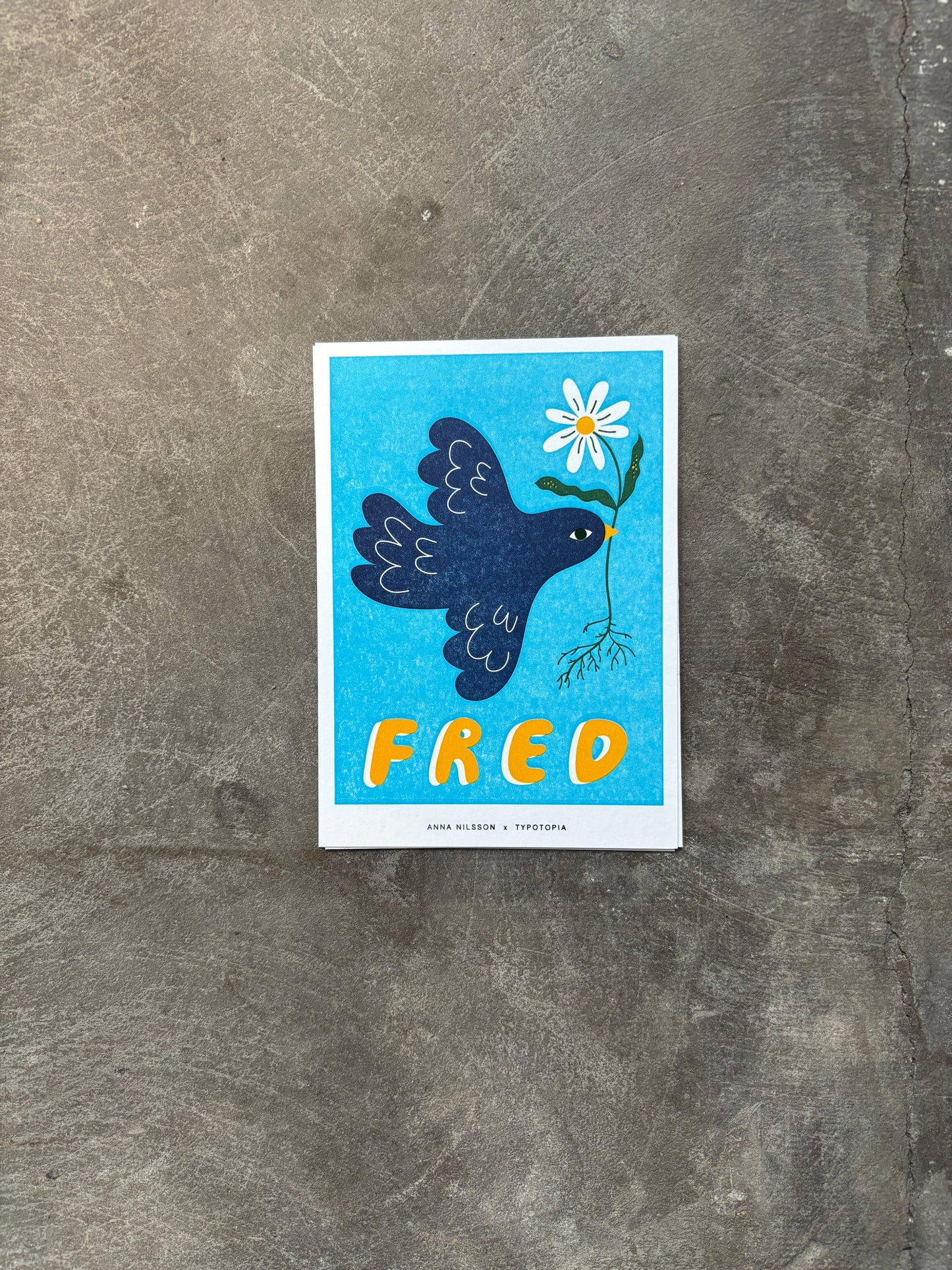 Postcard: Anna Nilsson