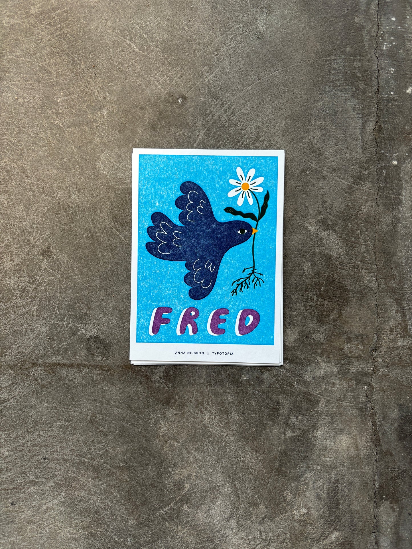 Postcard: Anna Nilsson