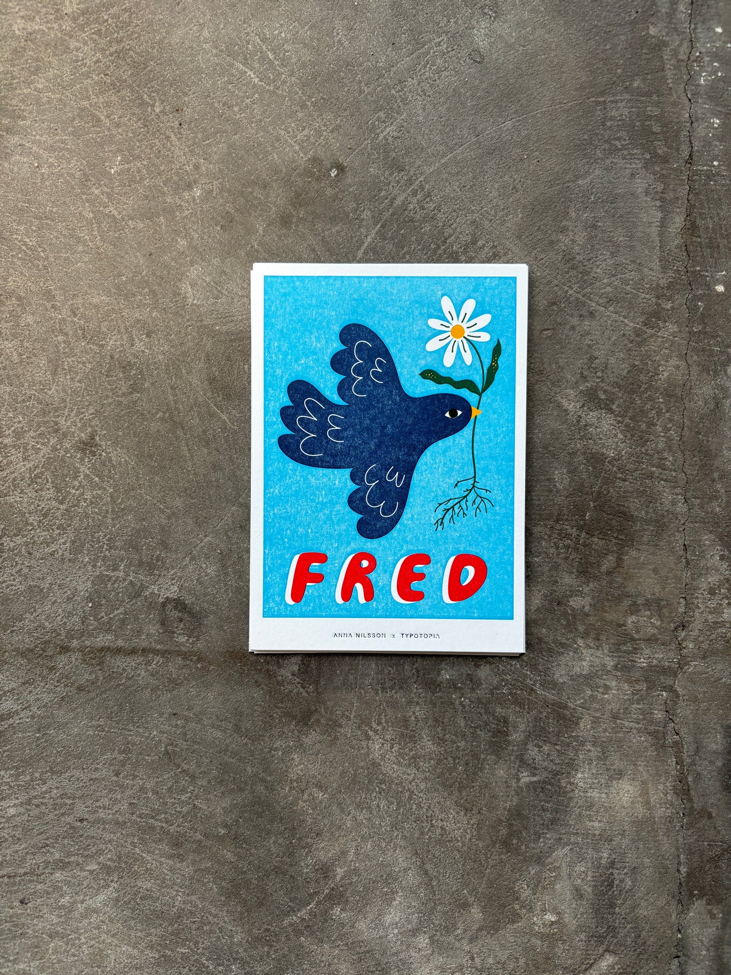 Postcard: Anna Nilsson
